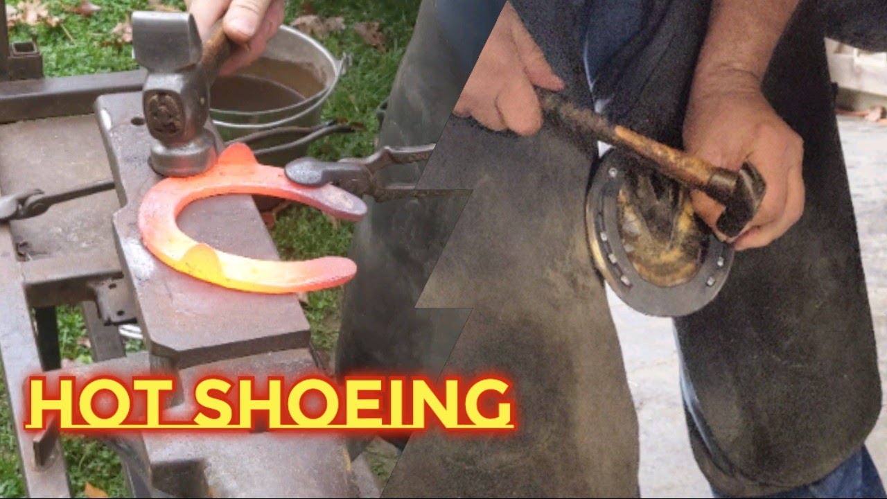 Hot Shoeing a Front Hoof. Farrier Blacksmith Steel Shoe Satisfying ASMR Trim Studs Rolled Toe