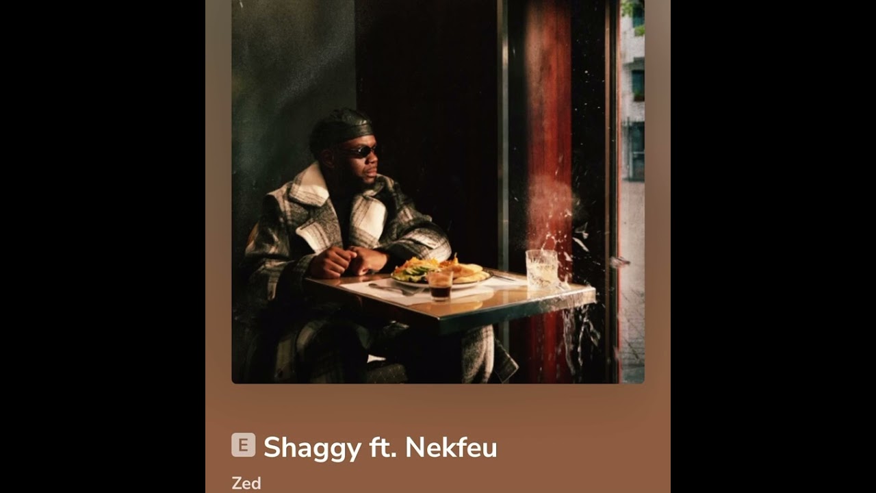 Zed  Shaggy feat  NEKFEU