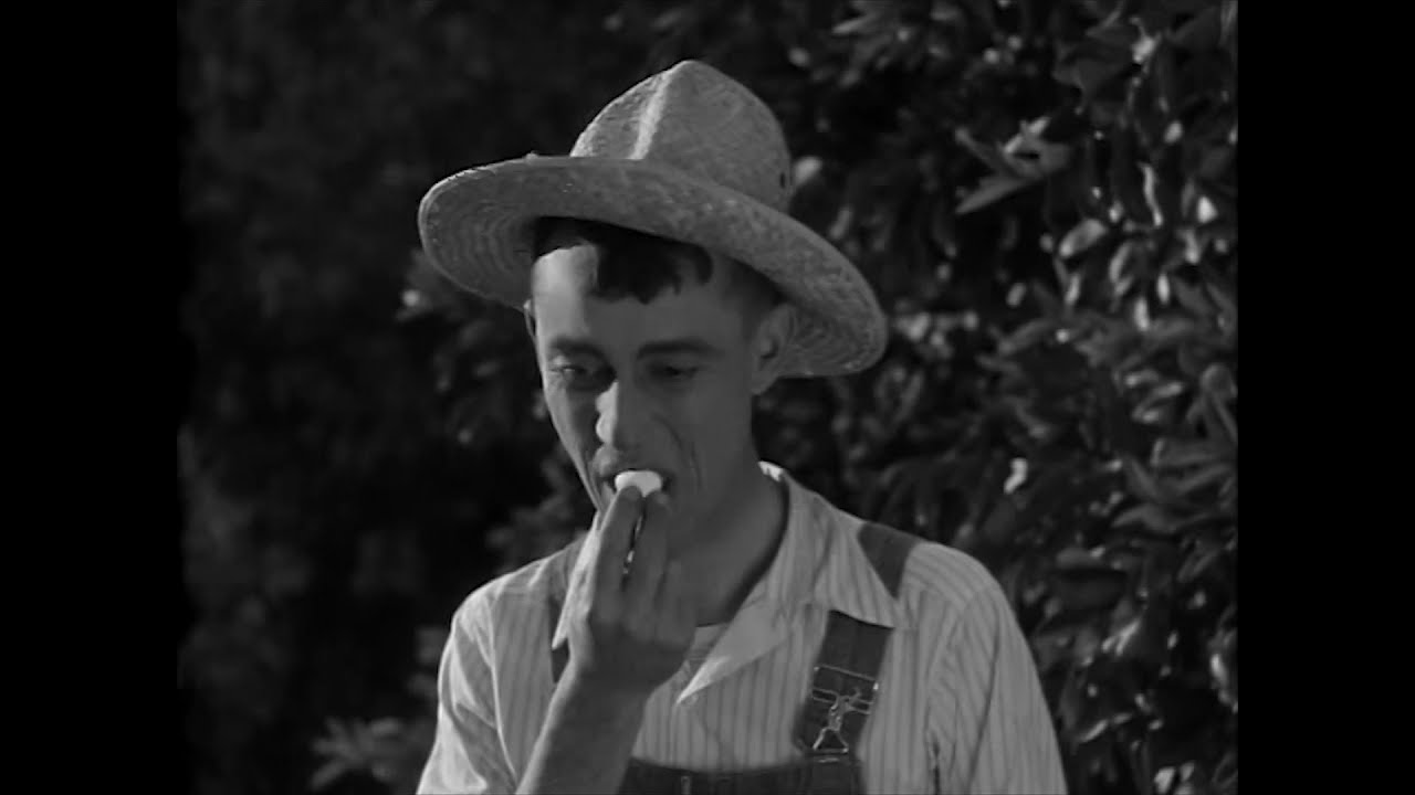 The Cockeyed Family (1928) Ben Turpin |  Short, Comedy Silent Film