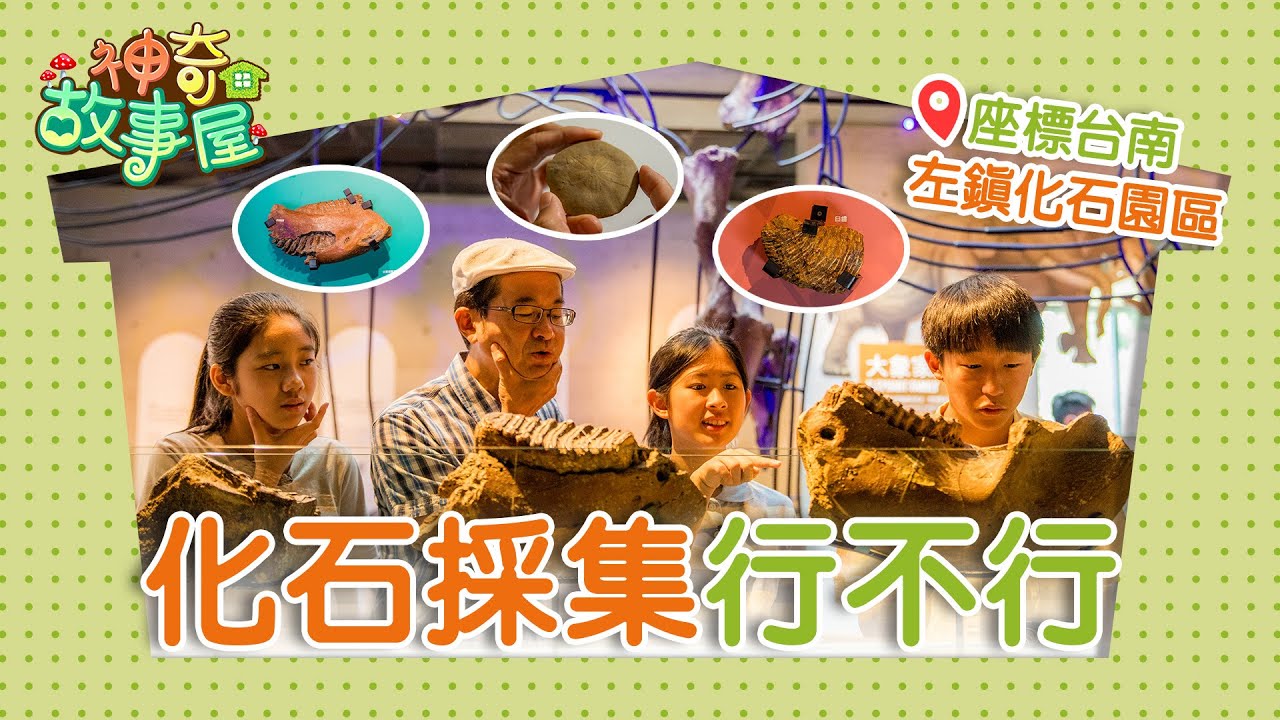 《左鎮人爺爺，您幾歲？》‖  台灣也挖得到化石？！到台南左鎮一探究竟！