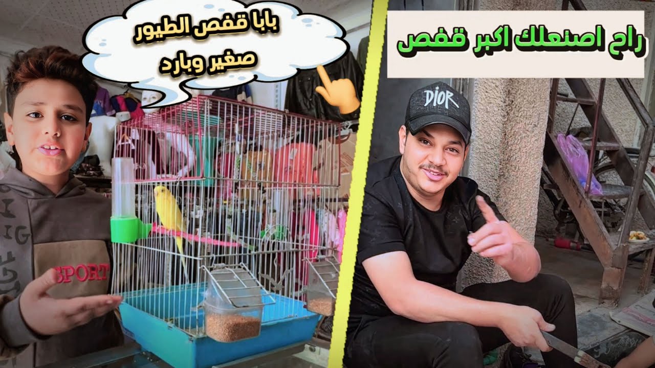 حسوني ضايج على طيوره لان بردانات