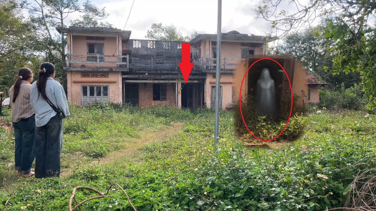 The haunted house that has been cursed for many years was bought for $2000. I wonder what is inside.