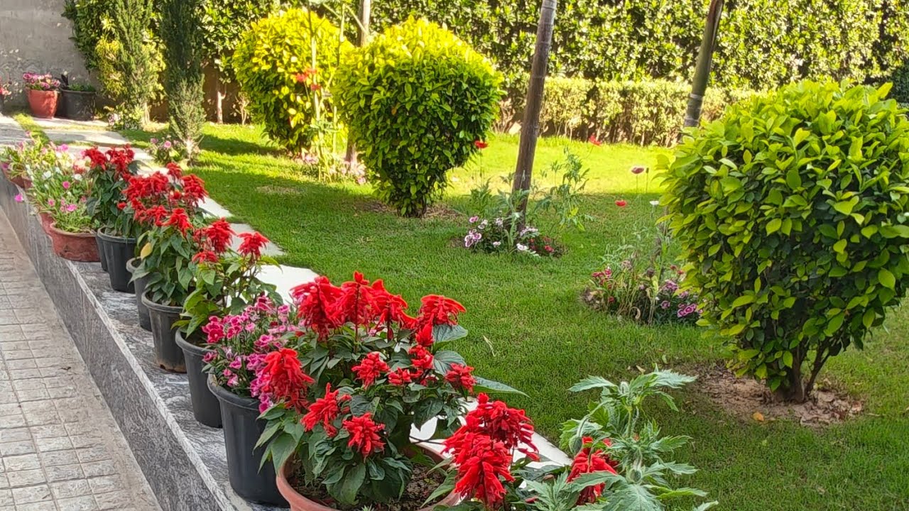 Tulsi ram Gautam  is live morning 🌄 view