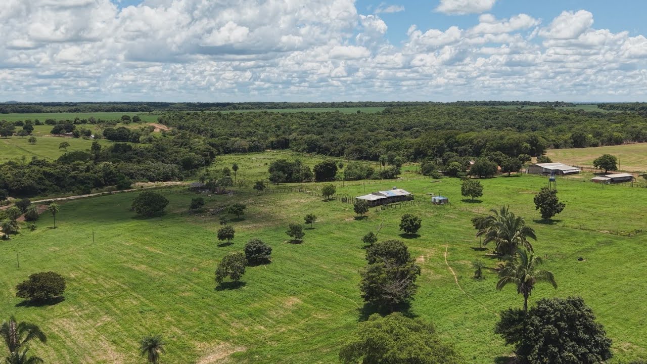 Mato Grosso - Poconé - Assentamento PA Campo Limpo