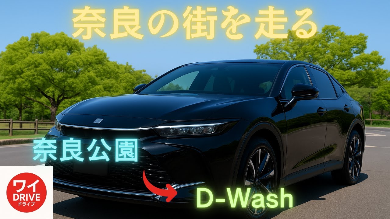 【車載動画】【作業用BGM】奈良市のD-Washへ！奈良公園を通ってドライブ＆純水洗車体験！？