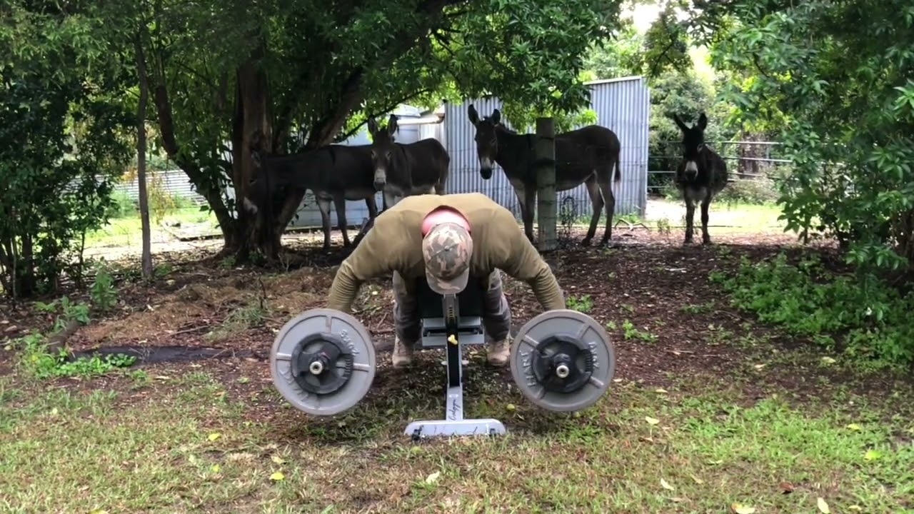 Operation Tactical Hypertrophy—Questions Answered