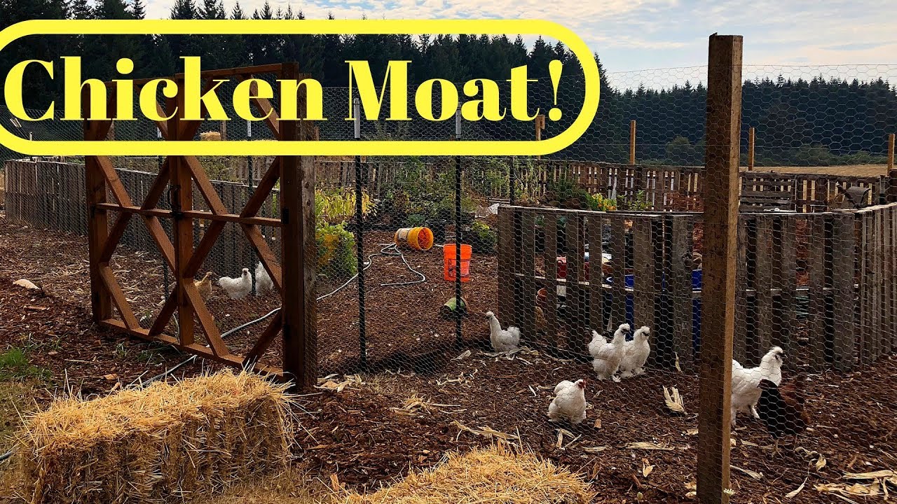Finalizing the Chicken Moat Garden