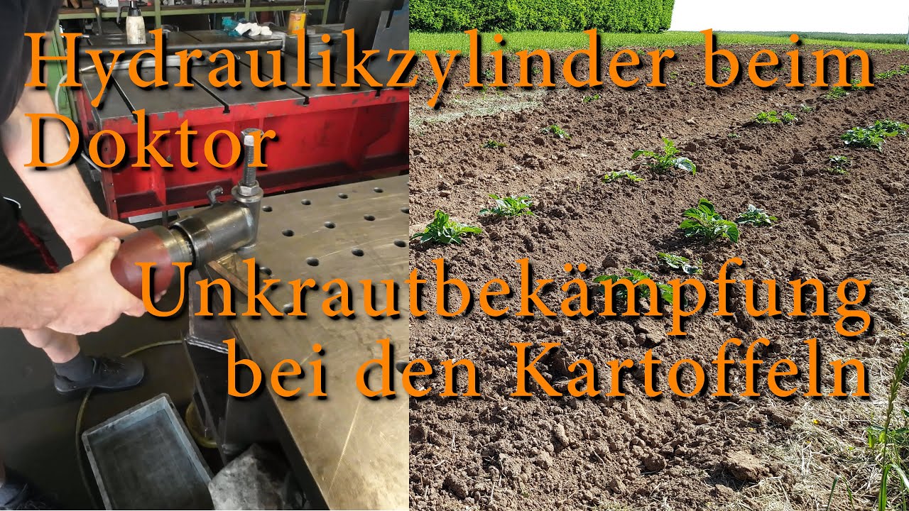 Hydraulikzylinder beim Doktor - Unkrautbekämpfung bei den Kartoffeln