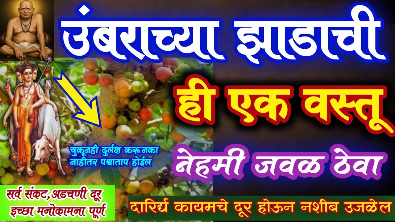 🌺#औदुंबर #उंबराच्या झाडाची ही एक ☝️वस्तू नेहमी जवळ ठेवा | संकट,दारिद्र्य दूर होईल💯 | Datta jayanti🙏