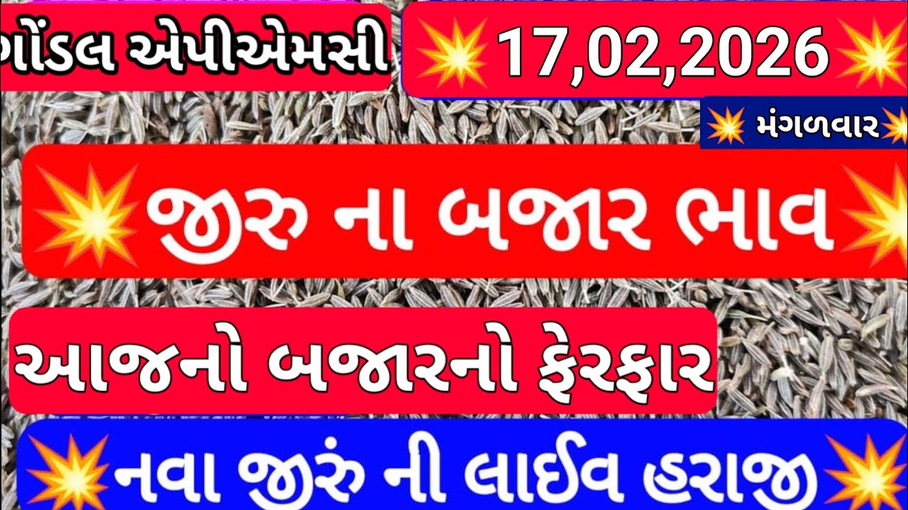 ગોંડલ જીરા ના બજાર ભાવ / નવા જીરા ના બજાર ભાવ / આજના જીરાના ભાવ / 17,02,2026