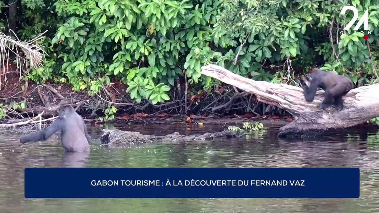 GABON TOURISME : À LA DÉCOUVERTE DU FERNAND VAZ
