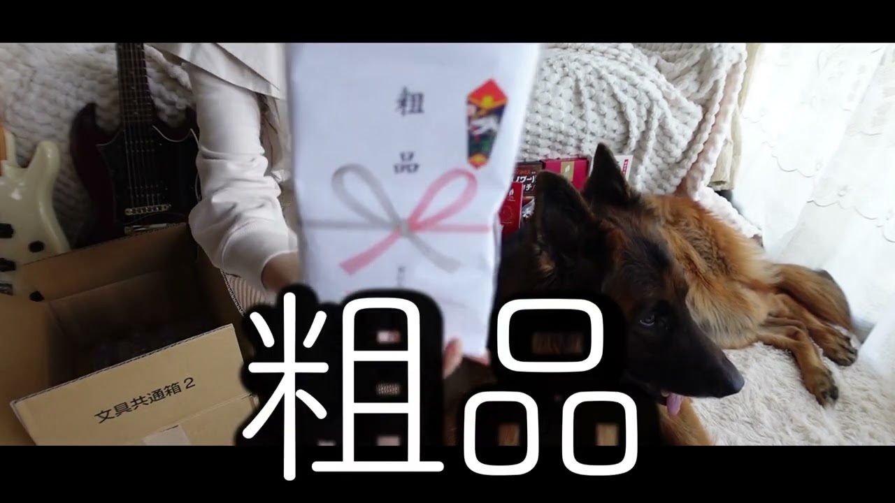 謎のダンボールの中身がやばい‼