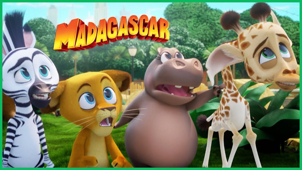 Madagascar 🧁 Perseguidos por um cupcake gigante! 🧁 Desenhos Animados em Portugu&ecirc;s