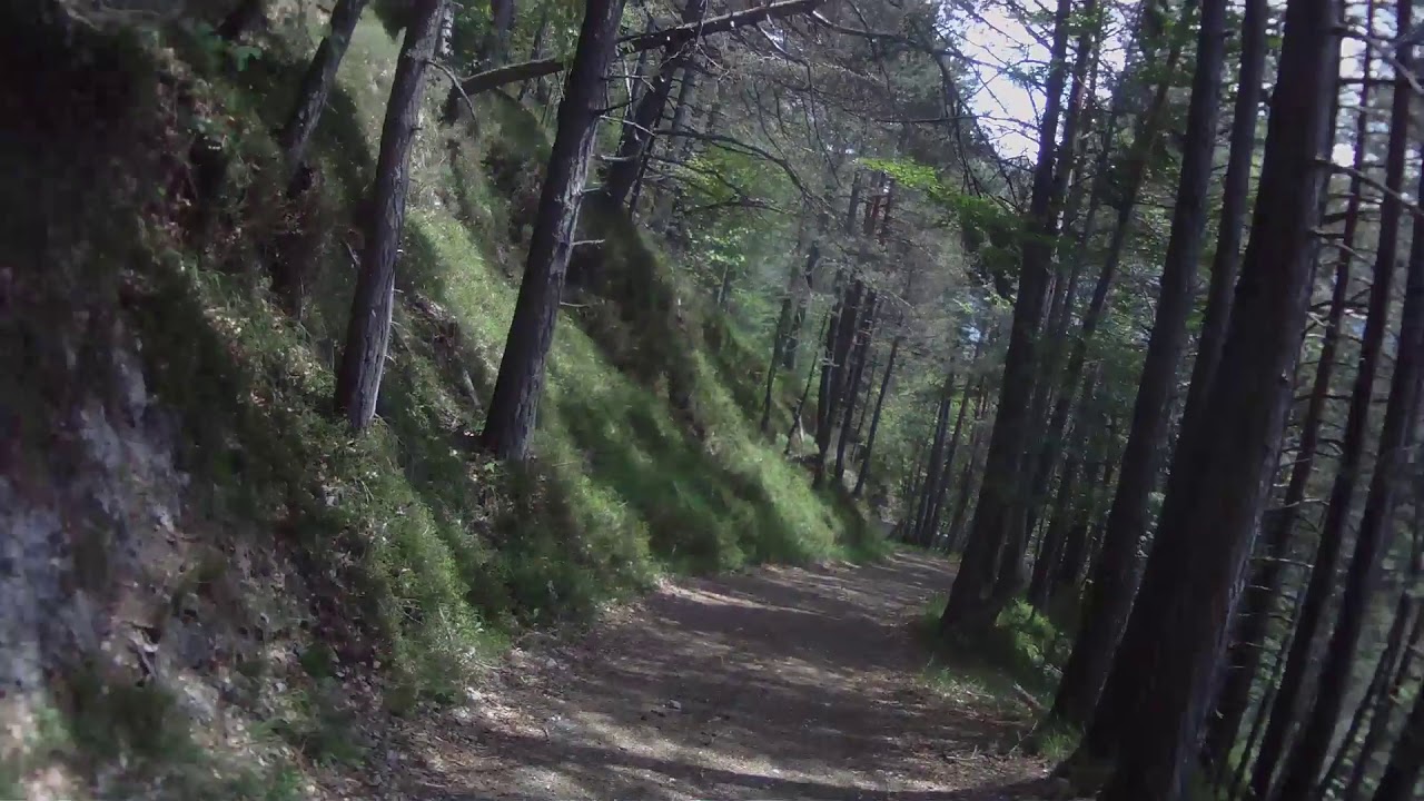 Sella Bieliga