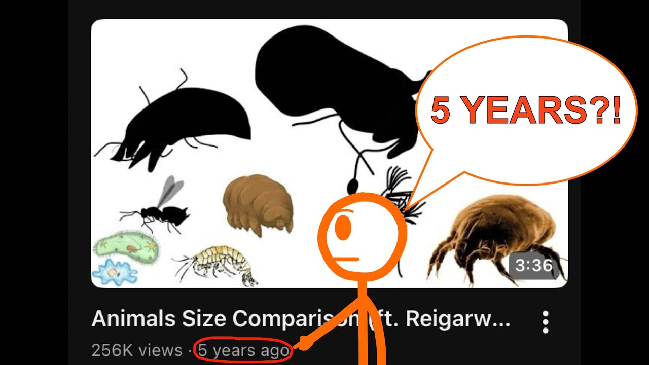 Animals Size Comparison (ft. Reigarw Comparisons)