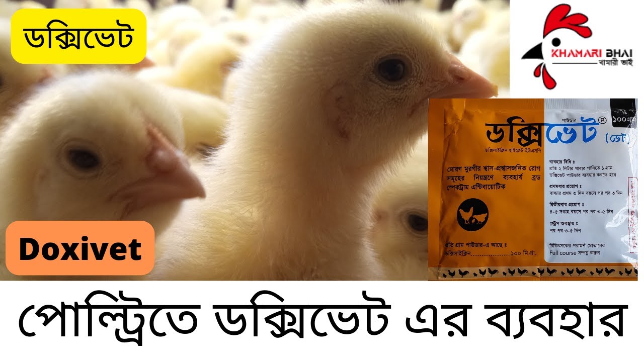 পোল্ট্রিতে ডক্সিভেট এর ব্যবহার   how to use Doxivet in poultry