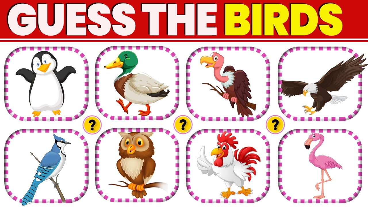 GUESS THE BIRD 🐦 | Fun 20 Birds Quiz for Kids