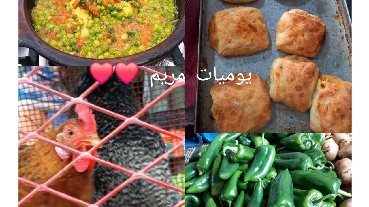 بلامة تشرى الورقة راه عندك فدارك 😍😍😍تقدية من سوق شعبي❤️❤️عاشر يوم فرمضان🤲🤲🤲🤲#اكسبلور #رمضان 