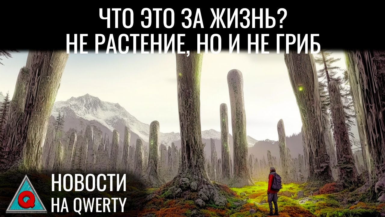 Новое царство жизни? Фотоника + кремний. Невирусная модификация генома. Новости QWERTY №335