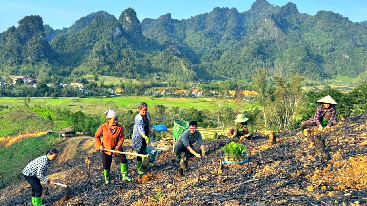 Simple joys: DAU joins hands to help villagers replant trees after forest fire incident.