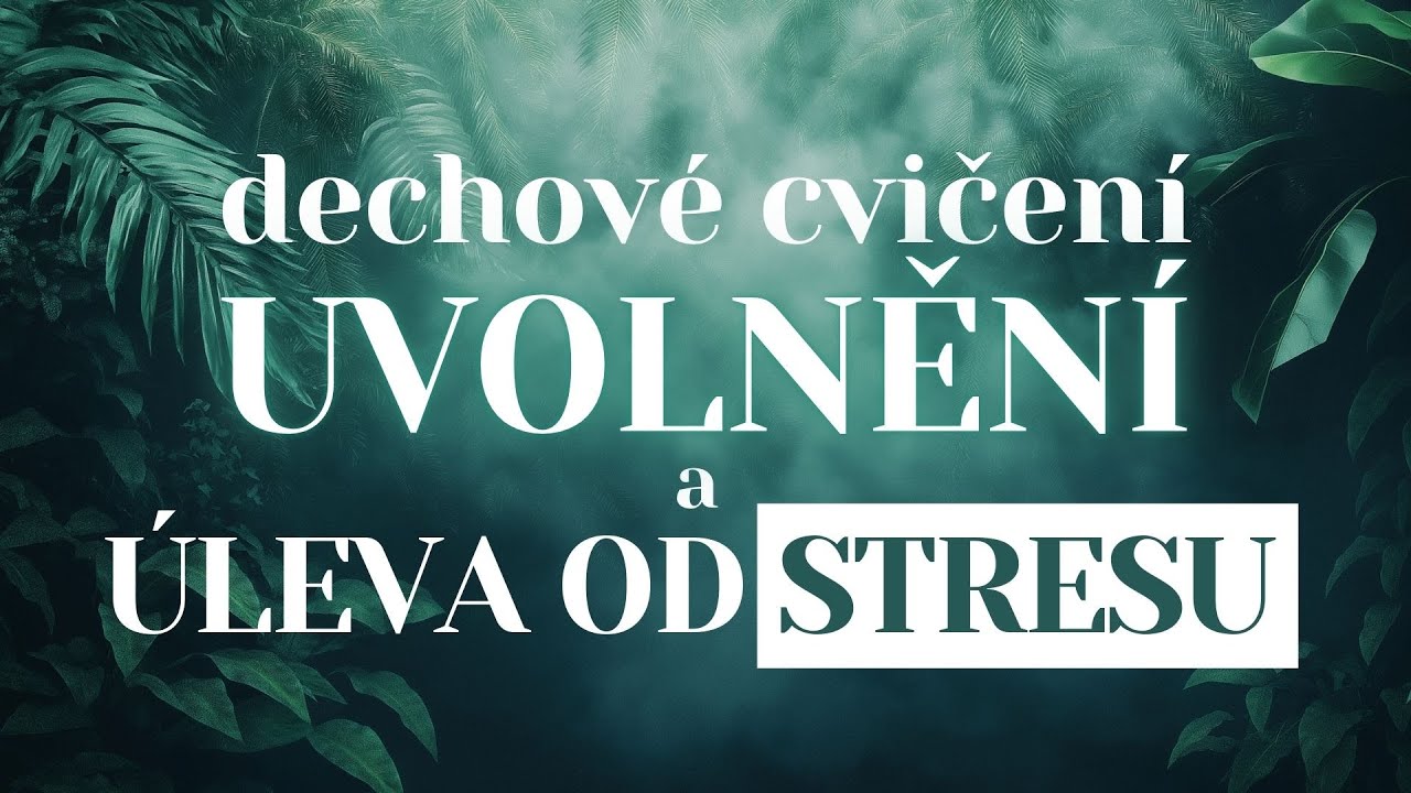 Meditace a dechové cvičení | Uvolnění a úleva od stresu