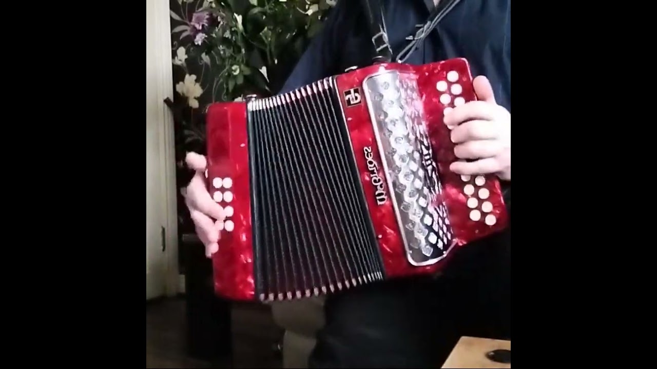 The Rakes Of Mallow. Polka/Irish song that's  worth a google history search. Button Accordion.