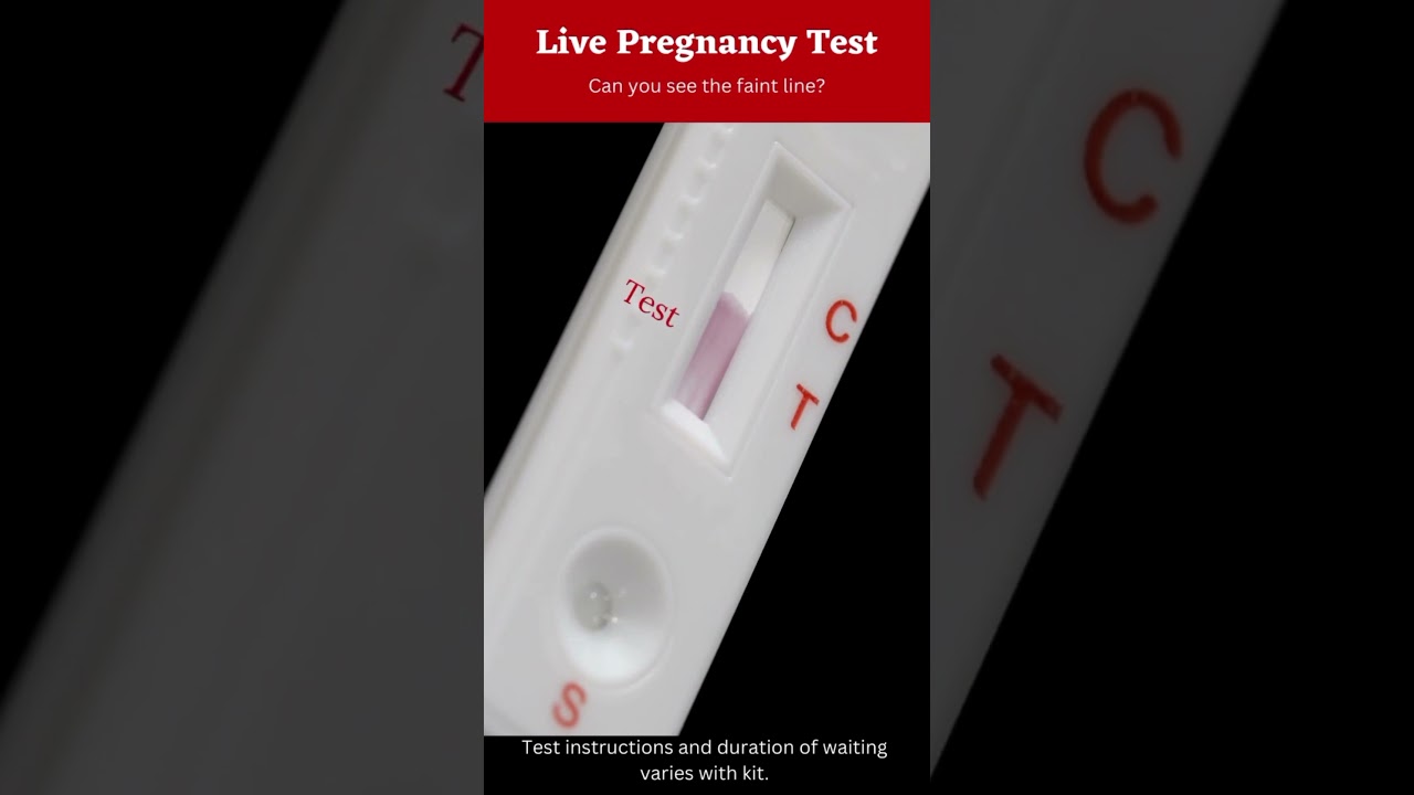 HCG Pregnancy test #shortvideo