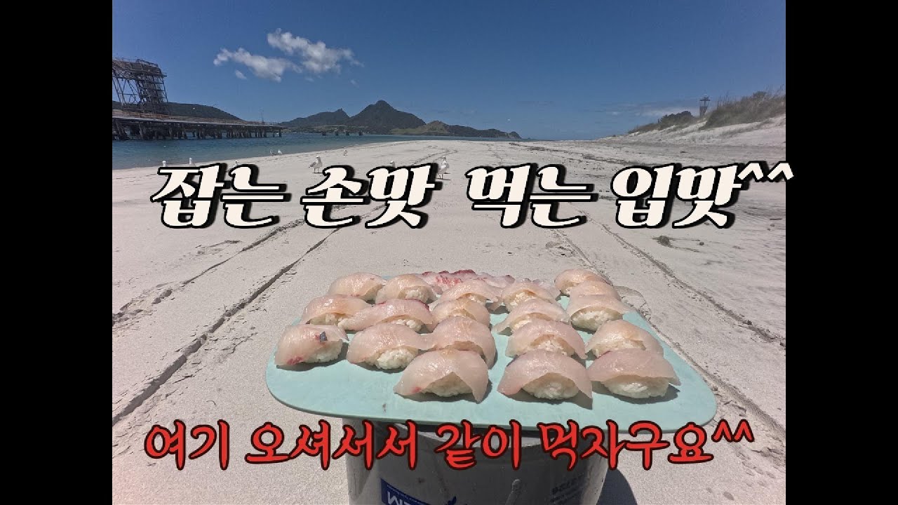 잡는 손맛^^ 먹는 입맛^^ #shorts #trevally #원투낚시 #장비소개 #마스덴 #트레발리 #줄전갱이 #먹방