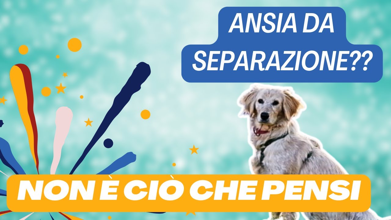 Come risolvere l'ANSIA da separazione. La guida DEFINITIVA.