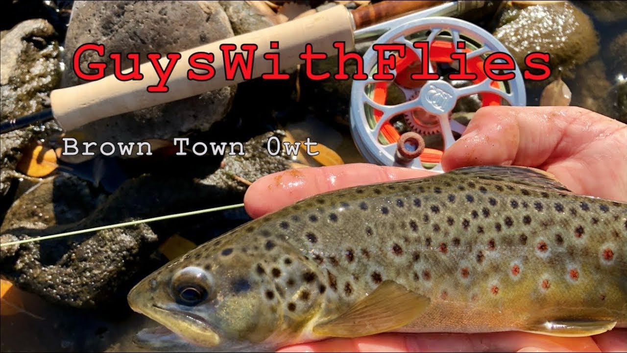 Zero Weight Nymphing CO River
