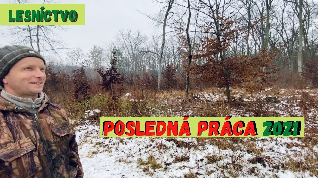 Prerez&aacute;vka v 3 vekovo rozli&scaron;n&yacute;ch mladin&aacute;ch | Selective Cut | Forestry talks