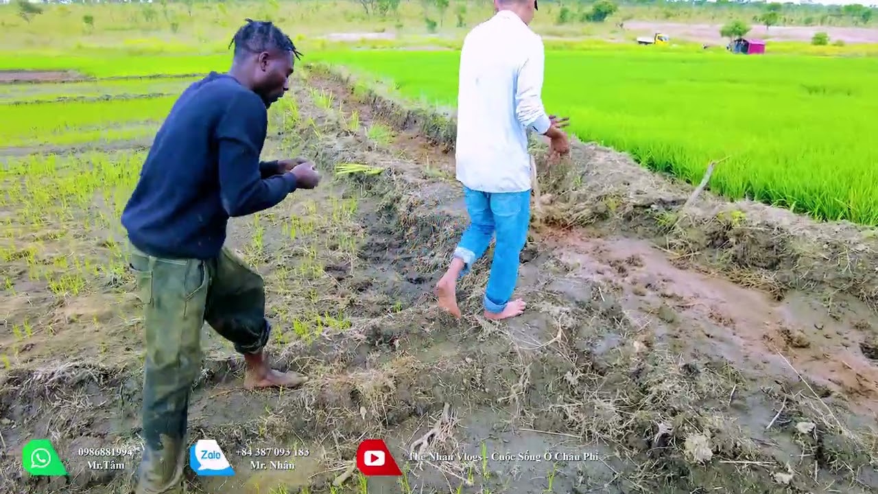 Thế Nhân || Hành Trình Tìm Hạt Gạo, Khi Thiên Nhiên, Thử Thách Lòng Người