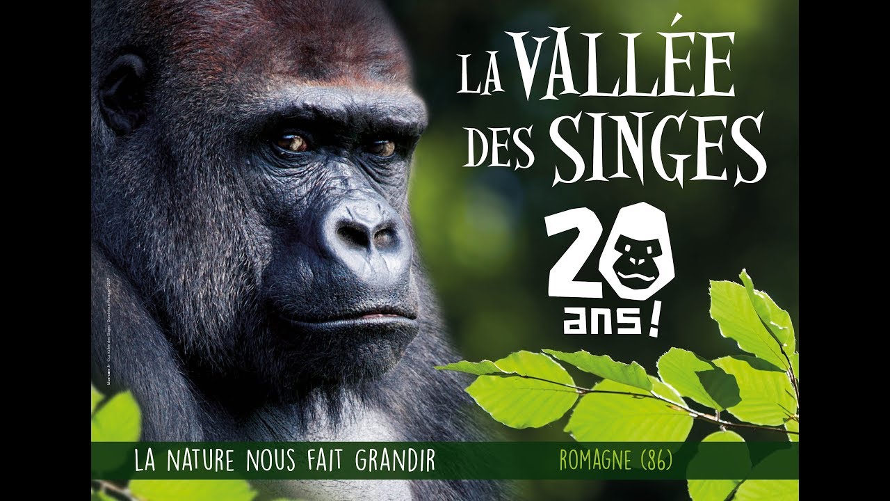 2018 : les 20 ans de la Vallée des Singes