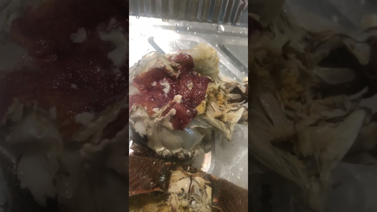 #silent#asmr#lapagan#dikitan#steamedcrab