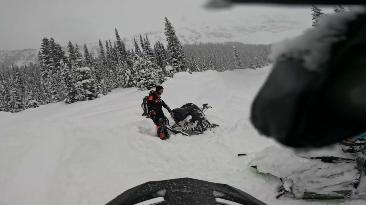 Clemina Creek Sledding