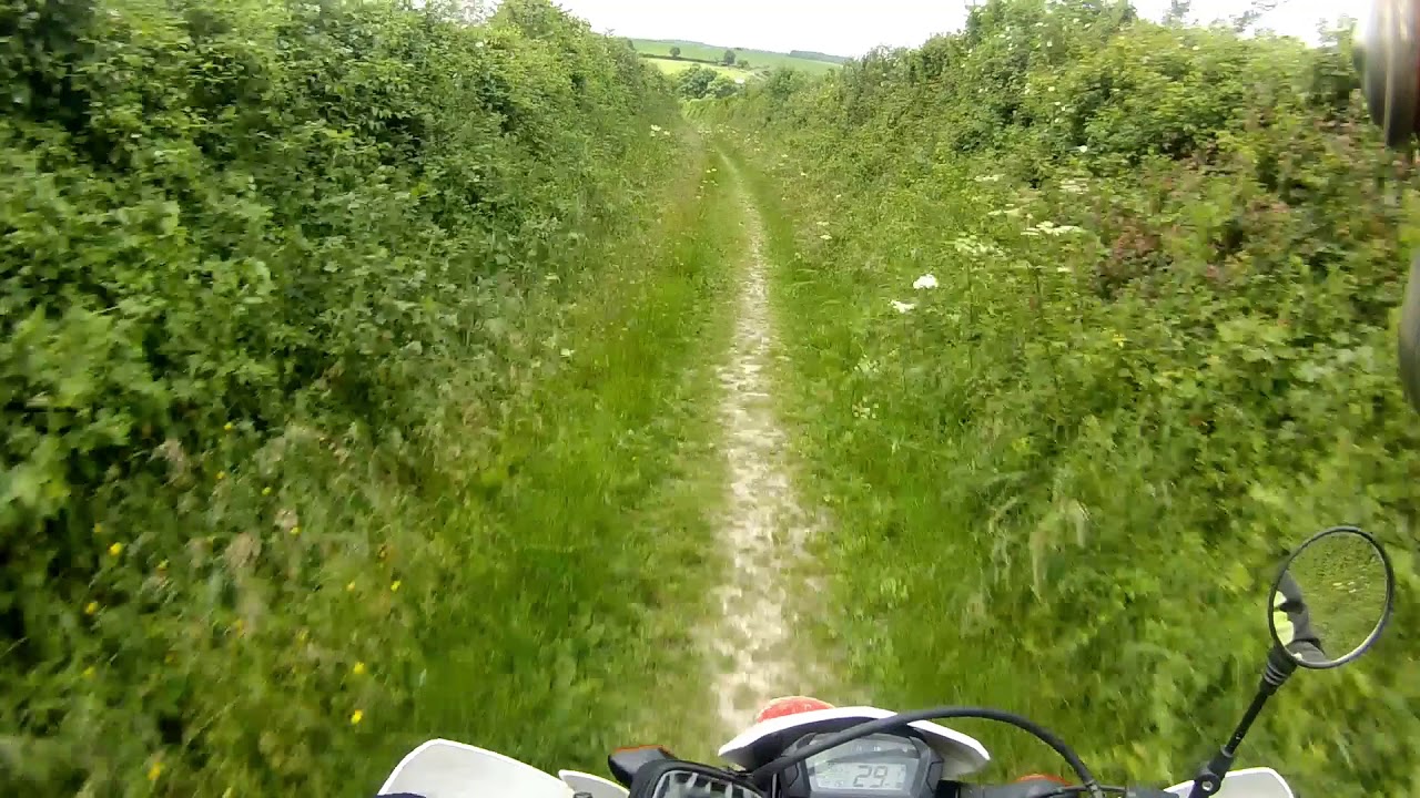 Tarrant Monkton - Common Drove (ORPA, E-W)