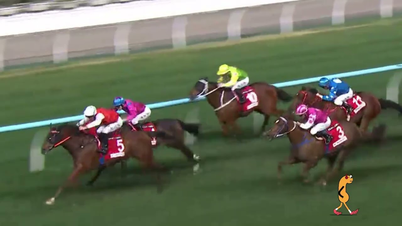 2026 02 04 跑馬地 全部賽事 聚焦頭馬 直路精華片段 @racingshorts272