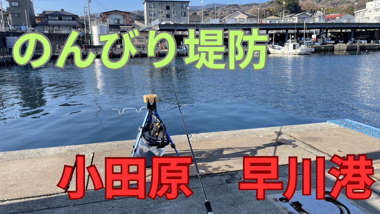 【堤防釣り】ちょい投げ釣り　小田原　早川港　キス釣れた。