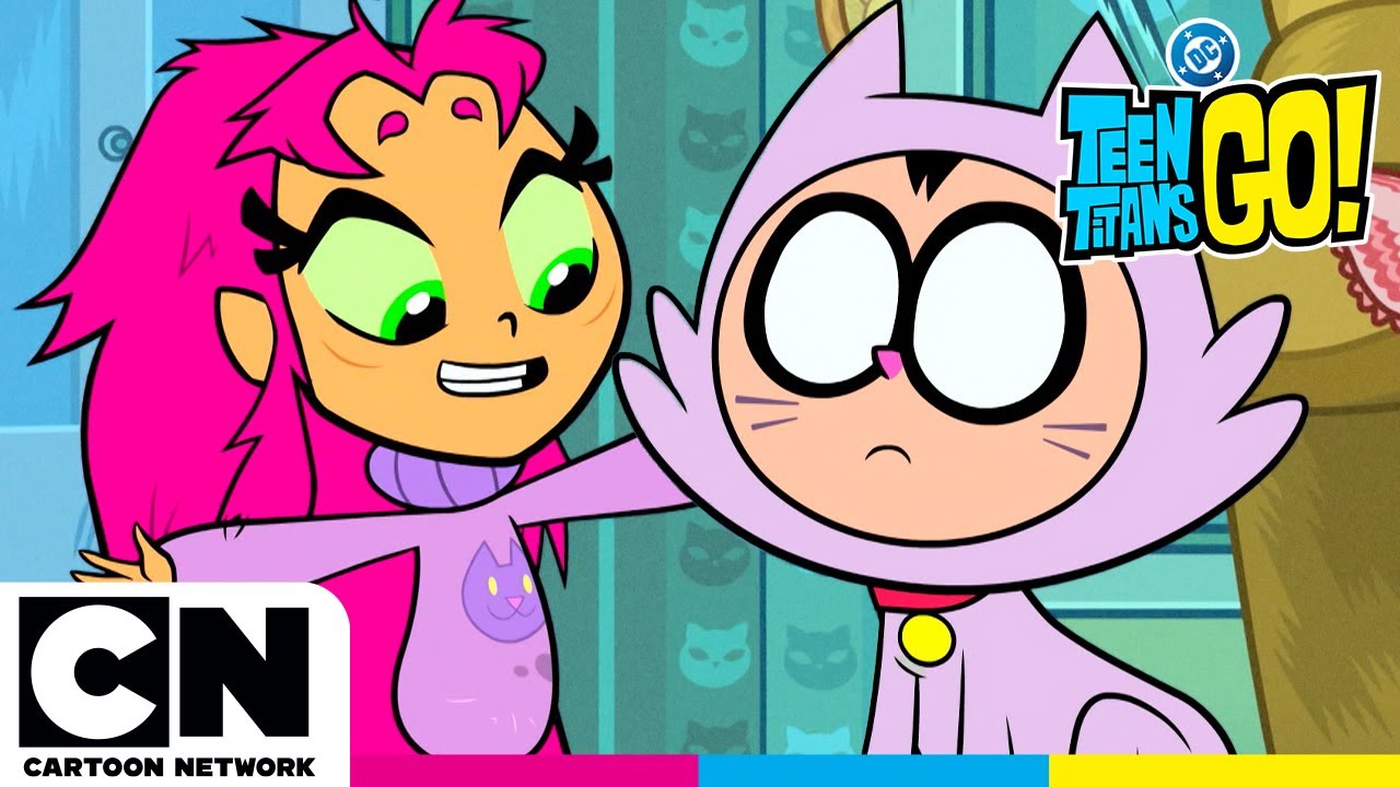 Crazy Cat Lady | Teen Titans Go! | Cartoon Network UK