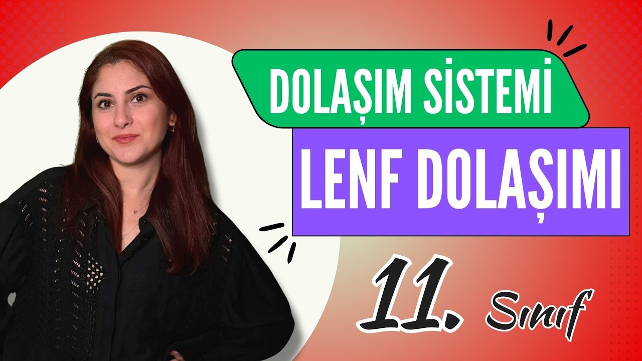 21) LENF DOLAŞIMI - DOLAŞIM SİSTEMİ 5 | 11. SINIF | AYT BİYOLOJİ DERS NOTLARI 2024
