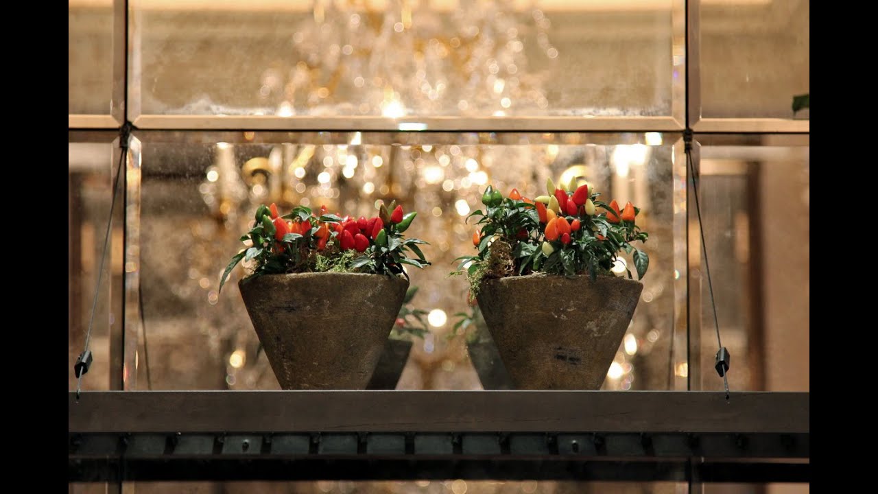 Restaurant Flowers: Spring Flower Display for London Brasserie Chavot