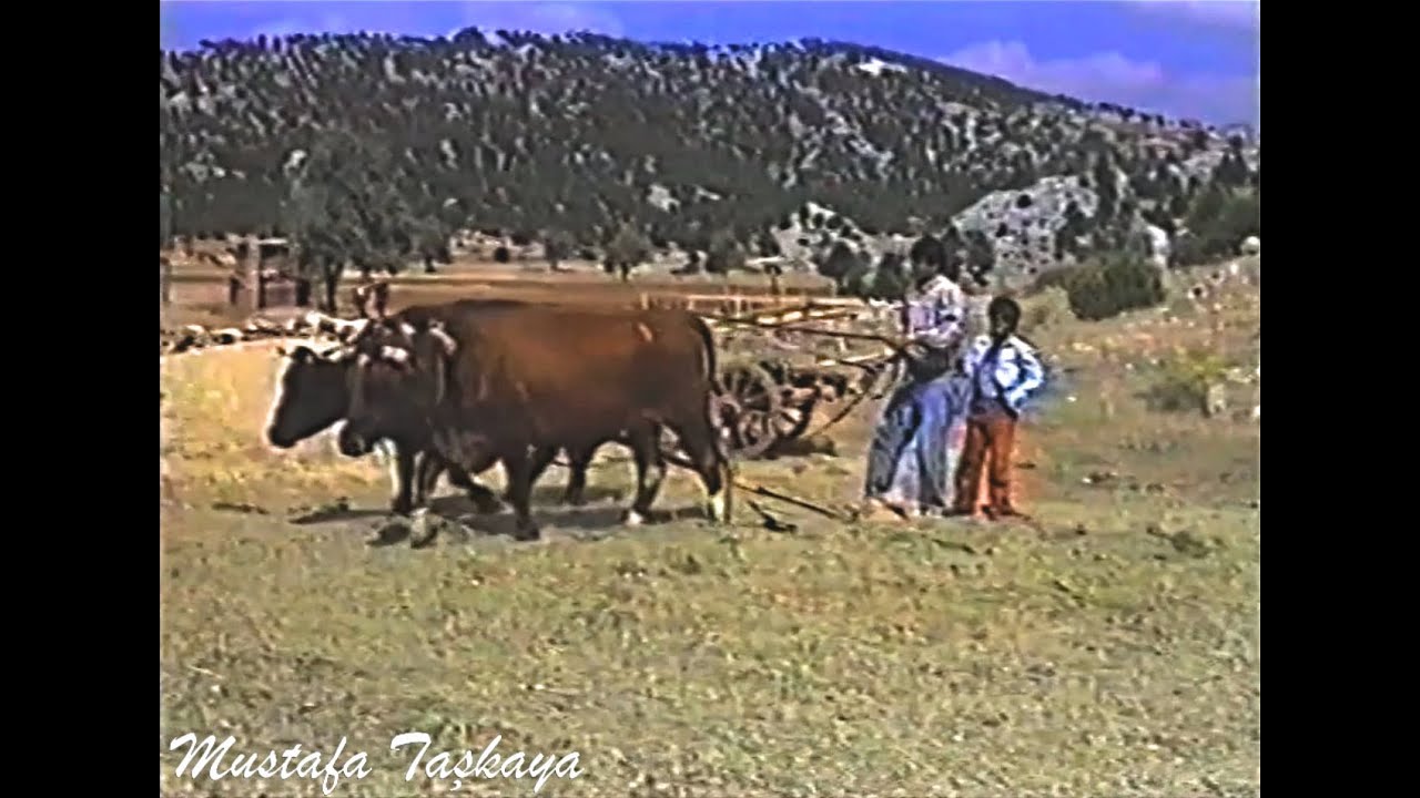 1991 Yılı.Birzamanların vazgeçilmezi düven ve 7/24 saat aranan ismi rahmetli Sucu Kadir usta..Göynem
