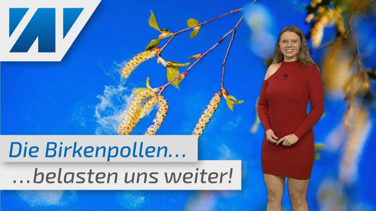 Die Birken-Pollen machen uns weiter das Leben schwer! (Mod.: Adrienne Jeske)