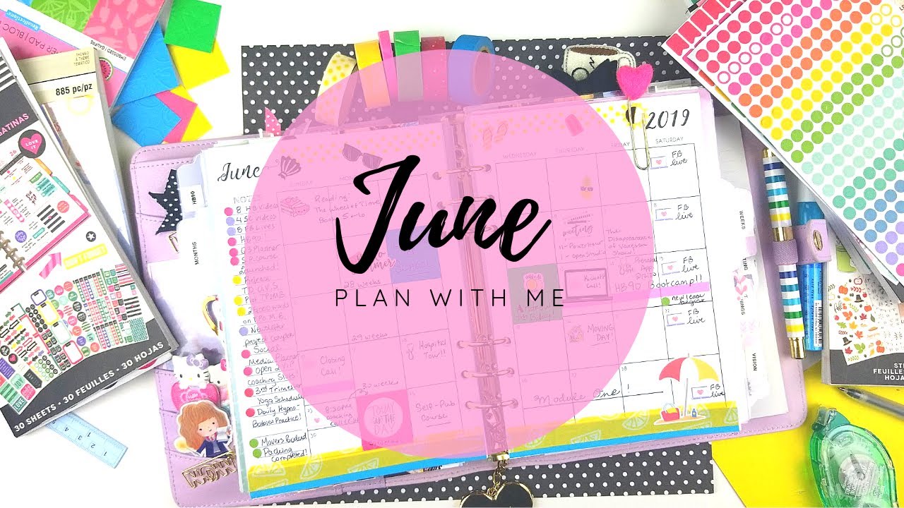 PLAN WITH ME JUNE || Kikki K Planner Flip-Through