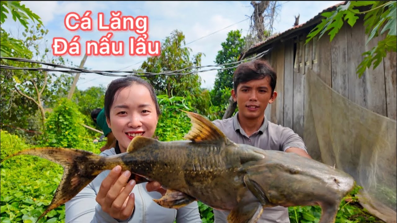 Hôm Nay Mai , Anh Sang Mấy Đứa Xuống Nhà Bà Nội Nấu Lẩu Cá Lăng Ăn