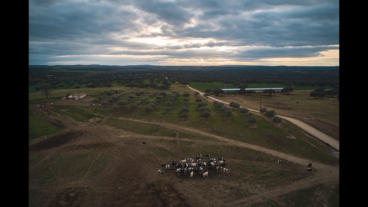Feed ON: 10 years of Jerónimo Martins Agro-Alimentar