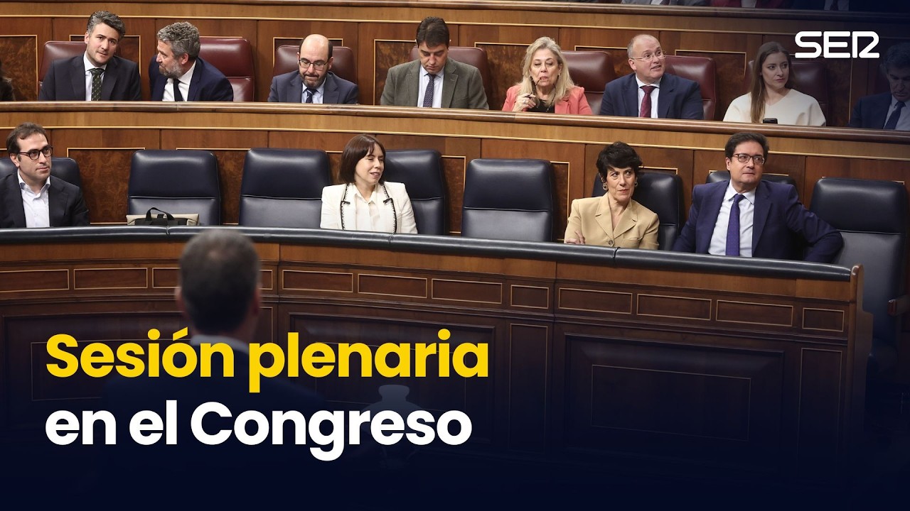 Sesión plenaria en el Congreso (25/02/2026)