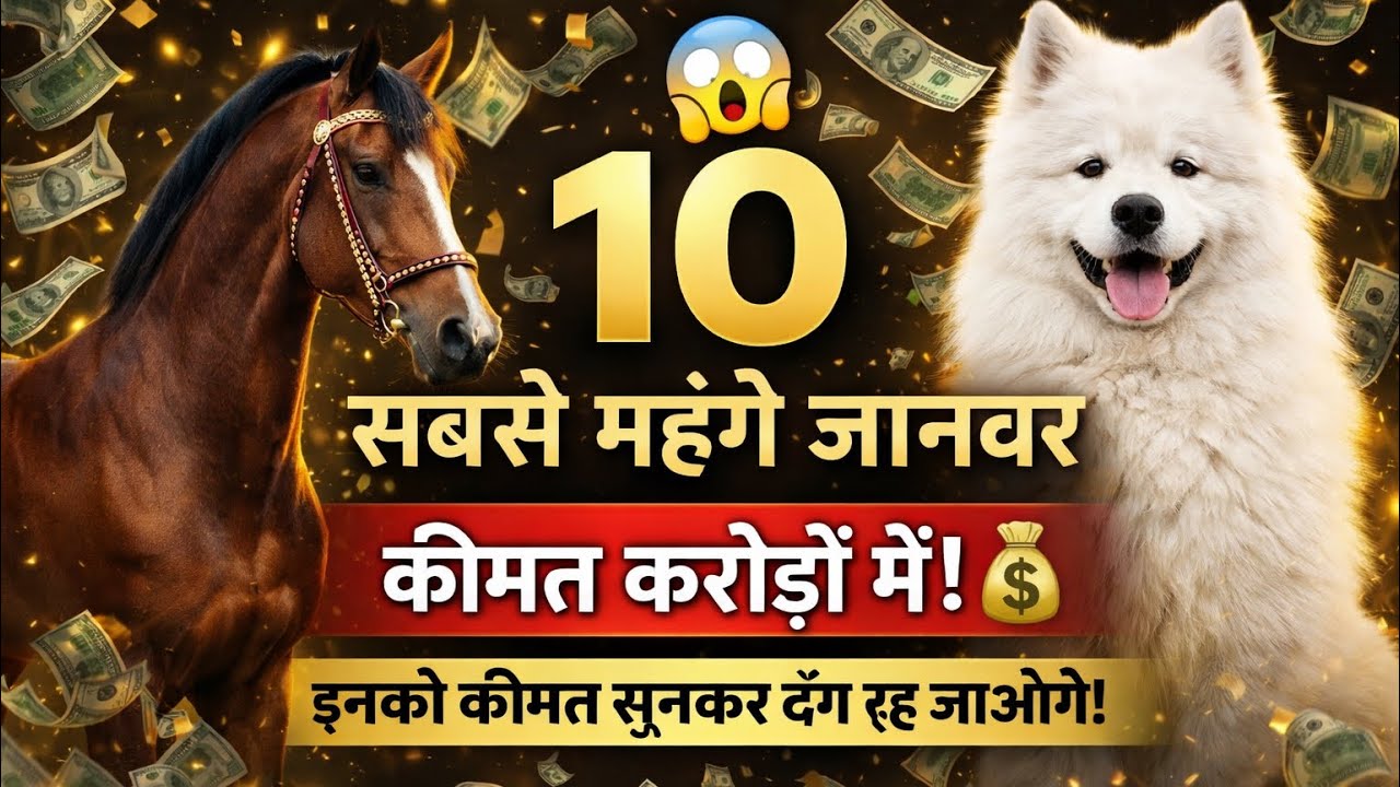 दुनिया के 10 सबसे महंगे जानवर 😱 | इनकी कीमत जानकर उड़ जाएंगे होश! #facts 