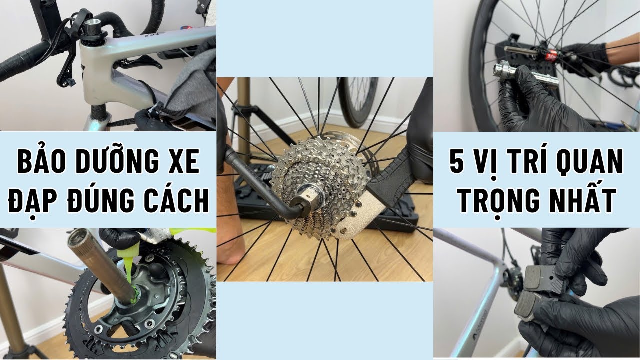Bảo Dưỡng Xe Đạp Đúng Cách: 5 Vị Trí Quan Trọng Nhất Bạn Cần Biết