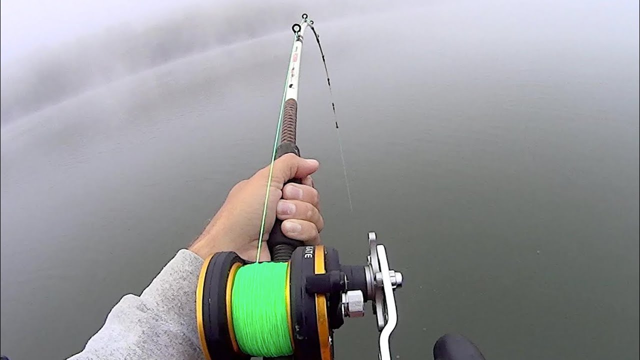 I Hooked A Sumo Size Catfish